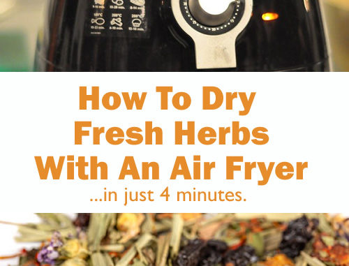 How To Dry Fresh Herbs Using An Air Fryer