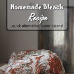 3 Ingredient Homemade Bleach Recipe