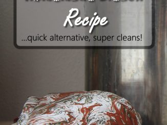 3 Ingredient Homemade Bleach Recipe